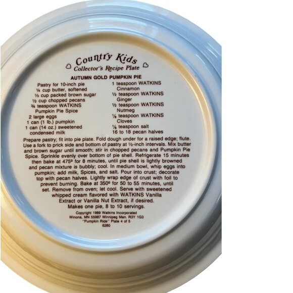 Vtg 1989 WATKINS Country Kids Pumpkin Pie Plate w/ Recipe 10.5" diameter x 2" h - Picture 7 of 11